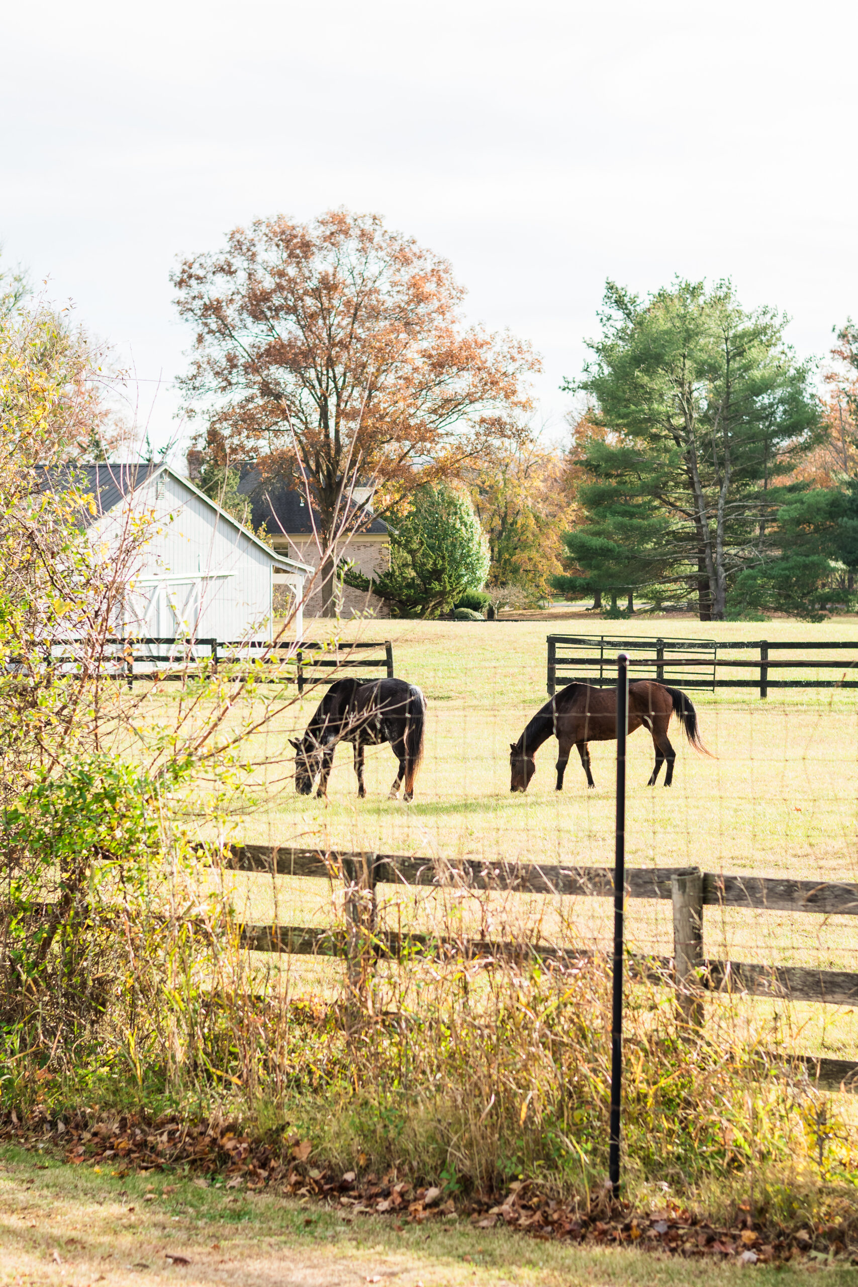 the winery at la grange spring wedding