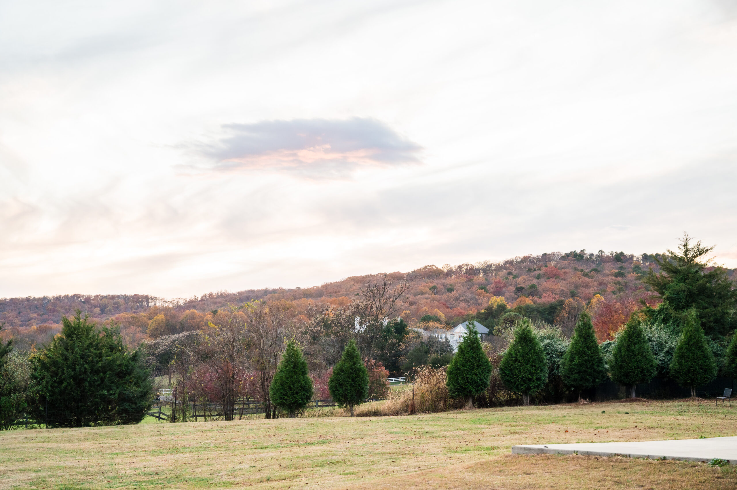 The Winery at La Grange wedding in Haymarket, VA