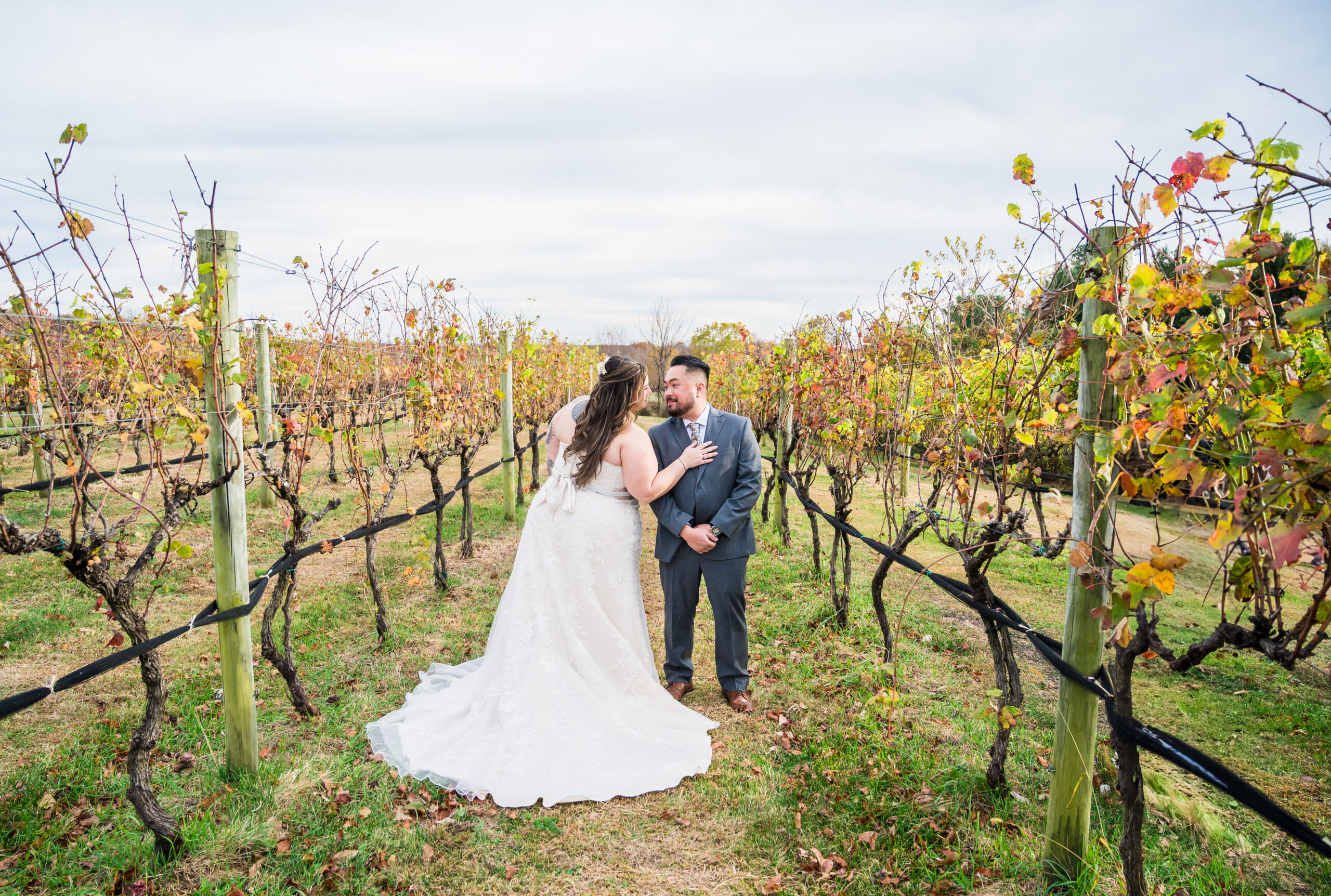 Wedding portrait of a couple in the vineyard at The Winery at La Grange in Haymarket, Virginia
